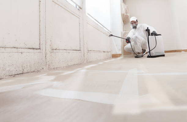 24/7 Emergency Black Mold Remediation experts in Portland, MI