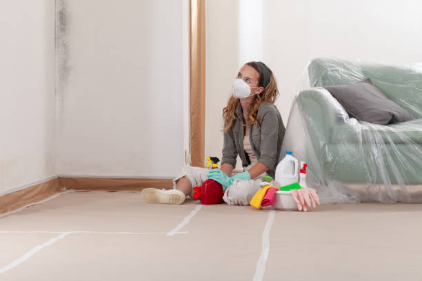 Reliable Black Mold Remediation contractor in Portland, MI by Car Mold Remediation